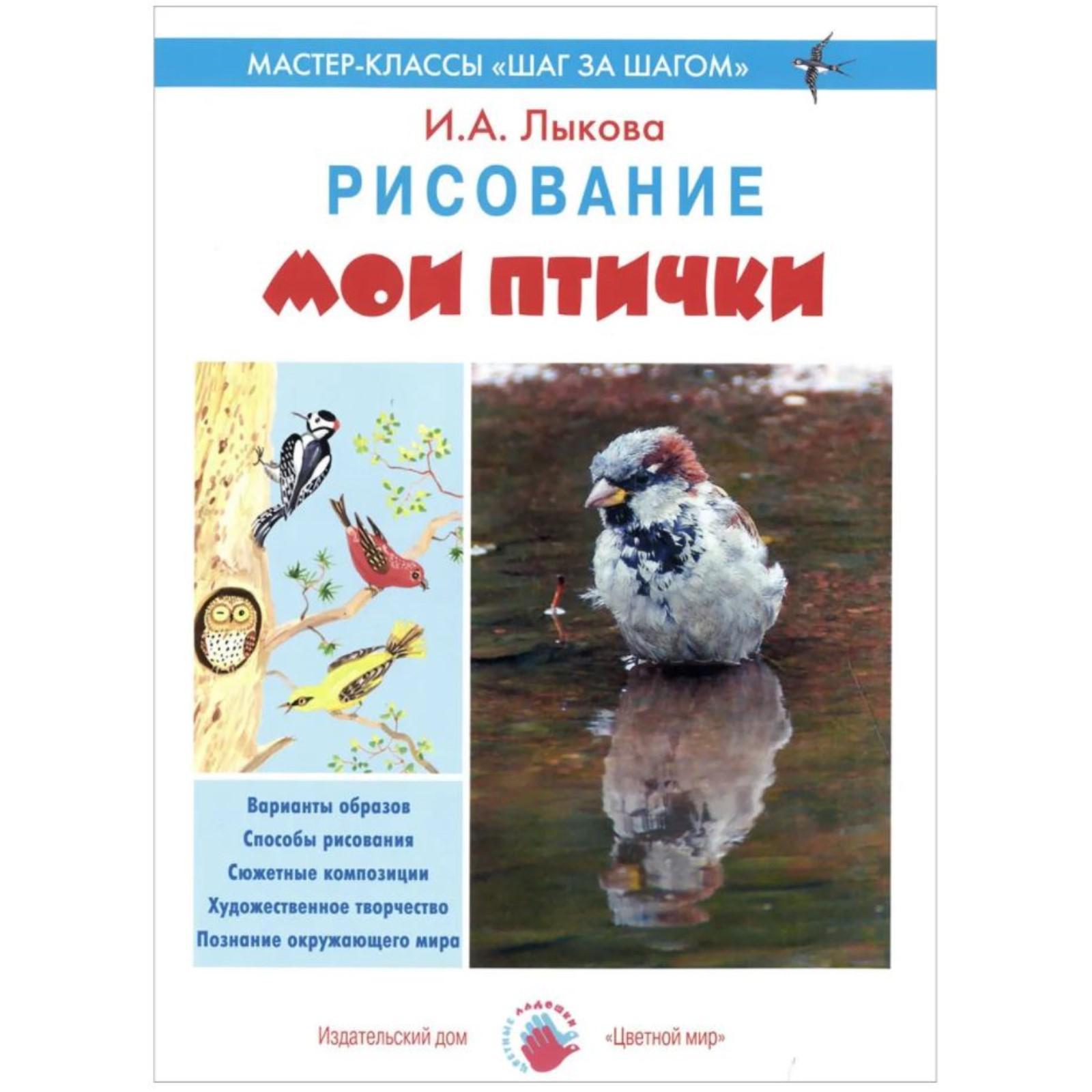 Мои птички. Рисование. Лыкова И. (5552749) - Купить по цене от 88.00 руб. |  Интернет магазин SIMA-LAND.RU