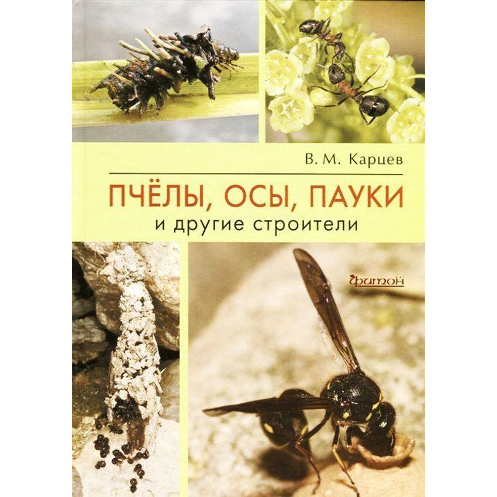 Пчёлы, осы, пауки и другие строители. Карцев В. (5549932) - Купить по цене  от 1 342.00 руб. | Интернет магазин SIMA-LAND.RU