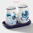 Набор для специй Доляна «Свиристель», 2 предмета: солонка, перечница, 130 мл, доломит - Фото 2