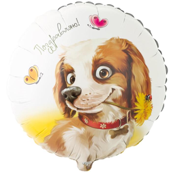 Шар фольгированный 18" «Поздравляю. Собака с цветком», круг - Фото 1