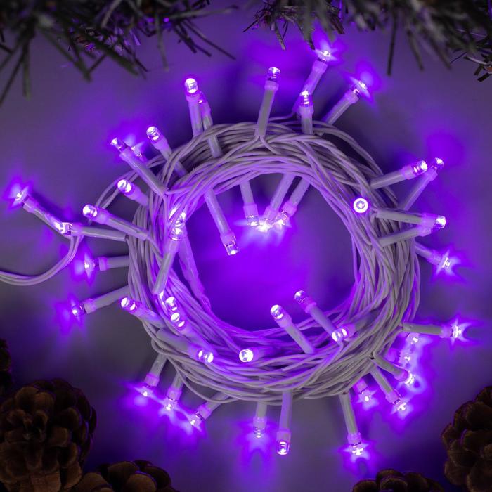Гирлянда «Нить» 5 м, IP20, белая нить, 50 LED, свечение фиолетовое, 8 режимов, 220 В, УЦЕНКА - Фото 1