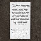 Оберег "Цветок Папоротника, Одолень трава", металл пьютер, художественное литье 5538563 - фото 13638931