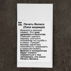 Оберег "Печать Велеса, лапа Медведя", металл пьютер, художественное литье 5538566 - фото 13638941