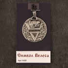 Оберег «Символ Велеса», металл пьютер, художественное литье - Фото 4