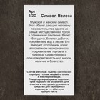 Оберег «Символ Велеса», металл пьютер, художественное литье - Фото 5