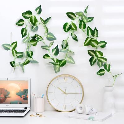 Лиана «Антуриум Андрэ», h=220 см