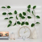 Лиана искусственная «Калатея полосатая», 230 см - Фото 1