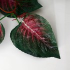 Лиана искусственная «Амарантус», 230 см - Фото 2