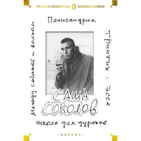 Школа для дураков.Между собакой и волком.Палисандрия.Эссе.Триптих. Соколов С