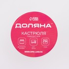 Кастрюля для запекания Доляна «Утятница», 2.9 л, 24.5×20.5×13.5 см, жаропрочное стекло, прозрачная - Фото 9
