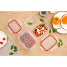 Набор контейнеров из жаропрочного стекла Доляна «Клик», 1,04/0,62/0,38 л, с крышкой, цвет МИКС  (артикул 5206265)  большой выбор товаров оптом и в розницу по низким ценам с доставкой