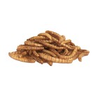 Лакомство Little One «Мучной червь» для всеядных грызунов, 70 г - Фото 2