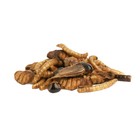 Лакомство Little One «Смесь насекомых» для всеядных грызунов, 75 г - Фото 2