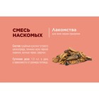 Лакомство Little One «Смесь насекомых» для всеядных грызунов, 75 г - Фото 4