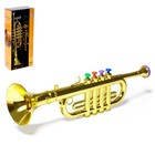 Игрушка музыкальная «Труба», цвета МИКС - фото 318451082