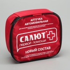 Автомобильная аптечка первой помощи «Салют», дорожная, состав 2024, мягкий футляр 6073170 - фото 15843519