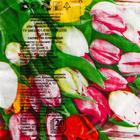 Салфетки бумажные New line FRESCO «Тюльпаны букет», 3 слоя, 33*33 см, 20 шт. - фото 4608891