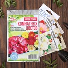 Набор семян комнатных цветов "Хит продаж" - Фото 8