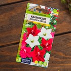 Набор семян цветов"Однолетники вьющиеся" - Фото 6