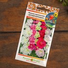 Набор семян цветов "Цветущие Летом" - фото 52892693