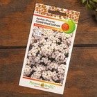 Набор семян цветов "Цветущие Летом" - фото 52892695