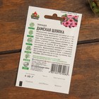 Набор семян цветов "Цветущие Летом" - фото 52892686