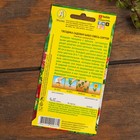 Набор семян цветов "Цветущие Летом" - фото 52892690