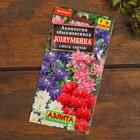 Набор семян цветов "Цветущие Летом" - фото 52892691