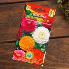 Набор семян цветов "Цветущие Осенью " - фото 35238159