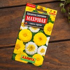 Набор семян цветов "Цветущие Осенью " - фото 35238165