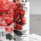 Салфетки бумажные Гармония цвета Пионы, 100 листов - Фото 2