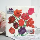 Салфетки бумажные New line FRESCO «Тюльпаны», 2 слоя, 33*33 см, 20 шт. - фото 4608908