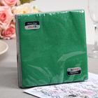 Салфетки бумажные New line FRESCO «Тёмно-зеленый», 2 слоя, 33×33 см, 20 шт. - Фото 1