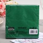 Салфетки бумажные New line FRESCO «Тёмно-зеленый», 2 слоя, 33×33 см, 20 шт. - Фото 2
