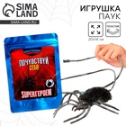 Паук прикол «Почувствуй себя супергероем», паук, в пакете - Фото 1