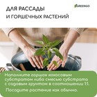 Субстрат Greengo кокосовый, универсальный, натуральный грунт для террариумов и растений, в брикете, 4 л при разбухании - Фото 5