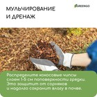 Субстрат Greengo кокосовые чипсы, натуральный грунт для террариумов и растений, в брикете, 5 л при разбухании - Фото 7