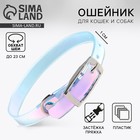 Ошейник для собак и кошек с фастексом «Неон» , 30 х 1 см - Фото 1