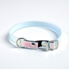 Ошейник для собак и кошек с фастексом «Неон» , 30 х 1 см - Фото 2