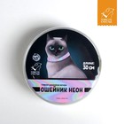 Ошейник для собак и кошек с фастексом «Неон» , 30 х 1 см - Фото 4