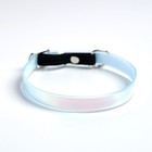 Ошейник для собак и кошек с фастексом «Неон» , 30 х 1 см - Фото 3