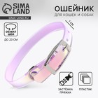 Ошейник для собак и кошек с фастексом «Неон», 30×1 см - Фото 1