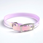 Ошейник для собак и кошек с фастексом «Неон», 30×1 см - Фото 2