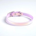 Ошейник для собак и кошек с фастексом «Неон», 30×1 см - Фото 3