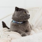 Ошейник для собак и кошек с фастексом «Неон», 30×1 см - Фото 5