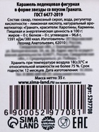 Леденец на палочке «Моему герою. 23 февраля», со вкусом граната, 35 гр. 5297708 - фото 16416131