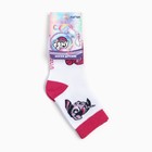 Носки детские «Искорка и Пинки Пай», Мой маленький пони, 16-18 см - фото 52553974