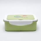 Ланч бокс с отделениями для еды, контейнер для еды, 1.4 л, 21.5 х 7.3 х 15 см, микс - фото 21194817