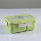 Ланч бокс с отделениями для еды, контейнер для еды, 1.1 л, 21.5 х 7.6 х 15 см, микс - Фото 4
