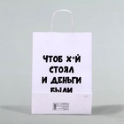 Пакет подарочный «Чтоб деньги были», 24×14×28 см - Фото 3
